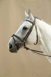 Dy'on Working Collection Flat Leather Bridle With Snap Hooks